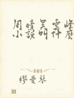 周晴吴云峰李磊小说叫什么