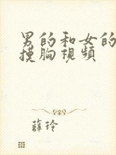 男的和女的亲吻摸胸视频