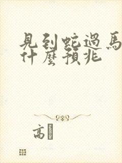 见到蛇过马路有什么预兆