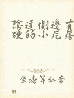 阴道侧边有个硬硬的小疙瘩