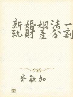 新婚姻法一方出轨财产分割