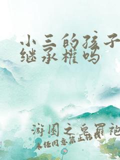 小三的孩子可以继承权吗