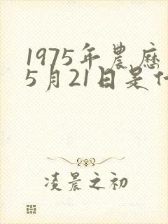 1975年农历5月21日是什么命