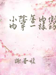 小阴唇内侧长小肉芽一样的东西是怎么回事