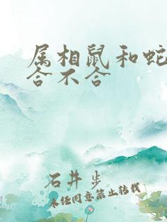 属相鼠和蛇属相合不合