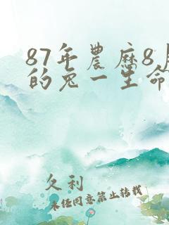 87年农历8月的兔一生命运