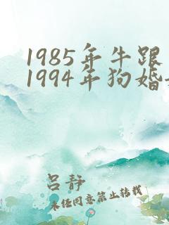 1985年牛跟1994年狗婚姻