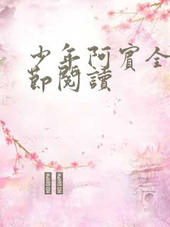 少年阿宾全文章节阅读