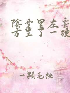 阴囊里左睾丸下方生了一硬疙瘩