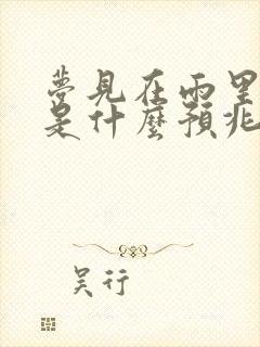 梦见在雨里奔跑是什么预兆