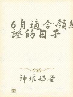 6月适合领结婚证的日子