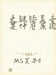 大腿膝盖旁边疼是什么原因