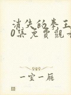 消失的拳王100集免费观看高清