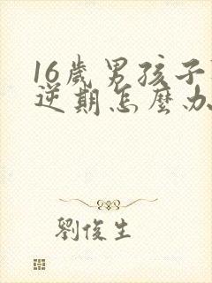 16岁男孩子叛逆期怎么办