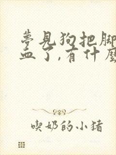 梦见狗把脚咬出血了,有什么预兆