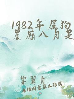 1982年属狗农历八月是什么命