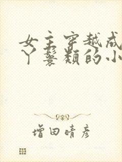 女主穿越成通房丫鬟类的小说