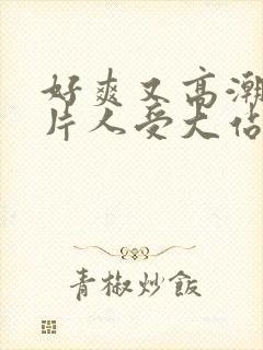 好爽又高潮了毛片人受大站