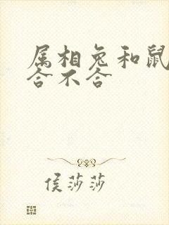 属相兔和鼠属相合不合