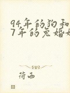 94年的狗和87年的兔婚姻相配好吗