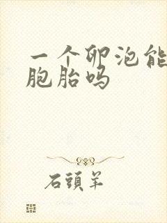 一个卵泡能生双胞胎吗