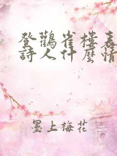 登鹳雀楼表达了诗人什么情感