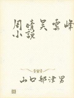 周晴吴云峰李磊小说