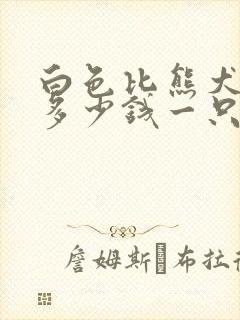 白色比熊犬价格多少钱一只