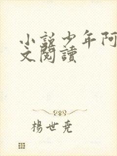 小说少年阿宾全文阅读