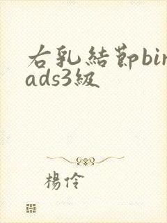 右乳结节birads3级