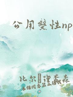 公用双性np