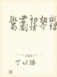 与君初相识大结局剧情介绍