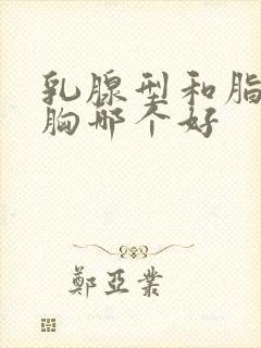 乳腺型和脂肪型胸哪个好