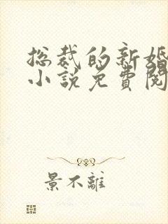 总裁的新婚罪妻小说免费阅读全文