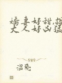 娇妻好甜,总裁大人好凶猛 初晴