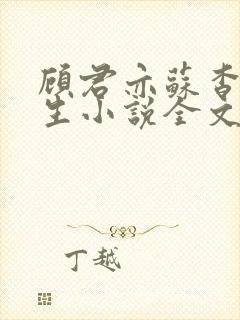 顾君亦苏杳国防生小说全文免费阅读