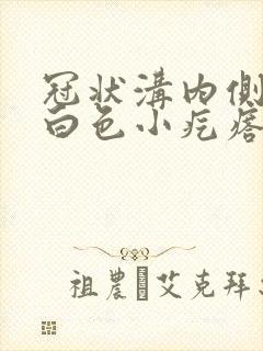 冠状沟内侧一排白色小疙瘩