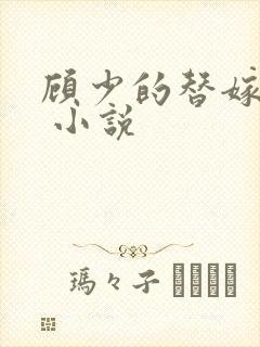 顾少的替嫁甜妻 小说