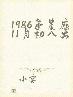 1986年农历11月初八出生命运