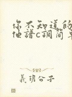 你不知道的事吉他谱c调简单版