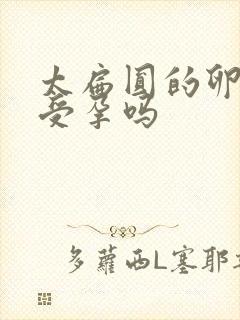 太扁圆的卵泡能受孕吗