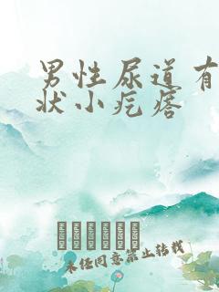 男性尿道有米粒状小疙瘩