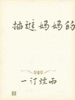 插进妈妈的肥穴