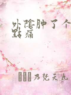 外阴肿了个包有点痛