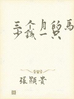 三个月的马犬多少钱一只