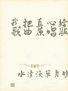 我把真心给了你歌曲原唱版