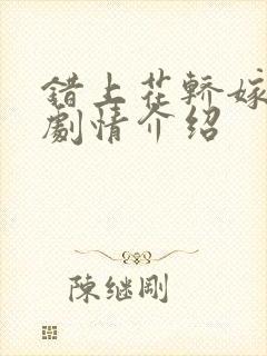 错上花轿嫁王爷剧情介绍