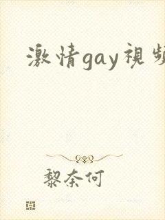 激情gay视频