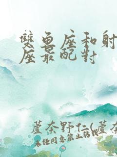 双鱼座和射手星座最配对