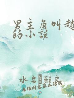 男主角叫赵亦辰的小说